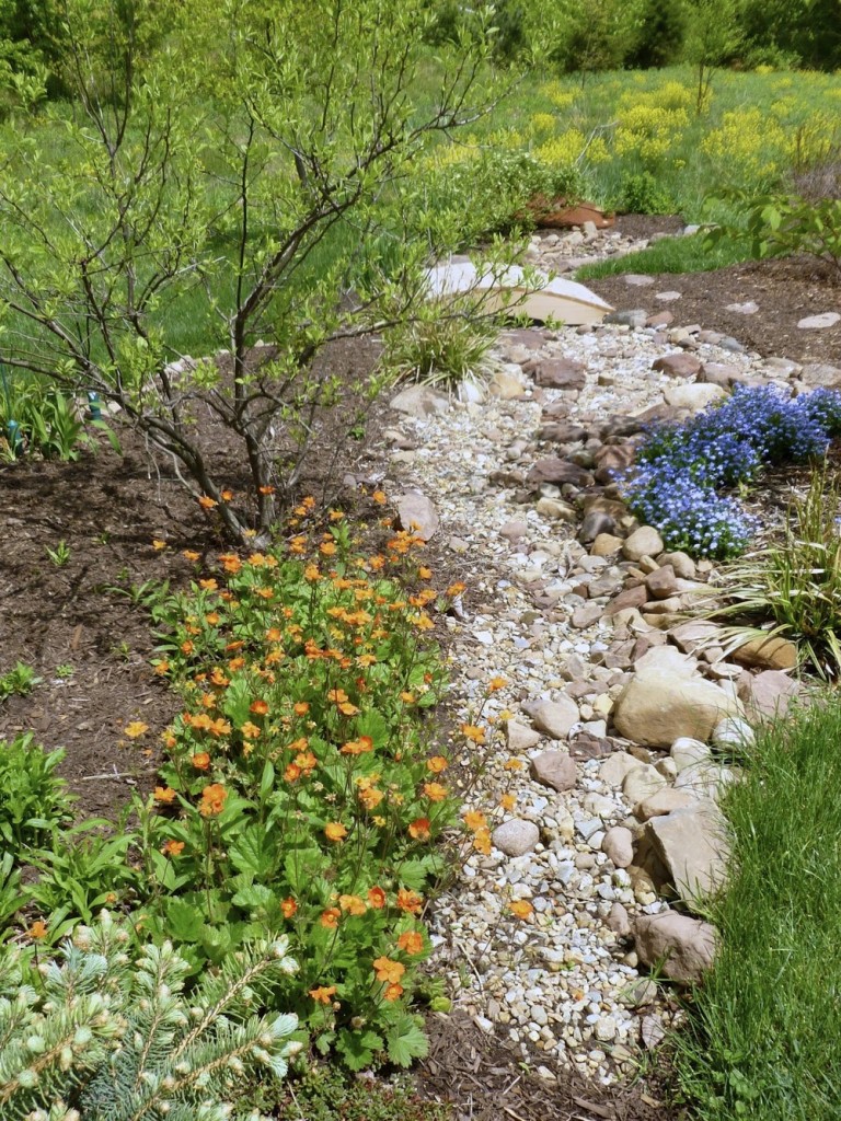 Dry creek beds, outdoor living, xeriscape ideas, popular pin, outdoor DIY, yard and landscape, landscaping hacks.