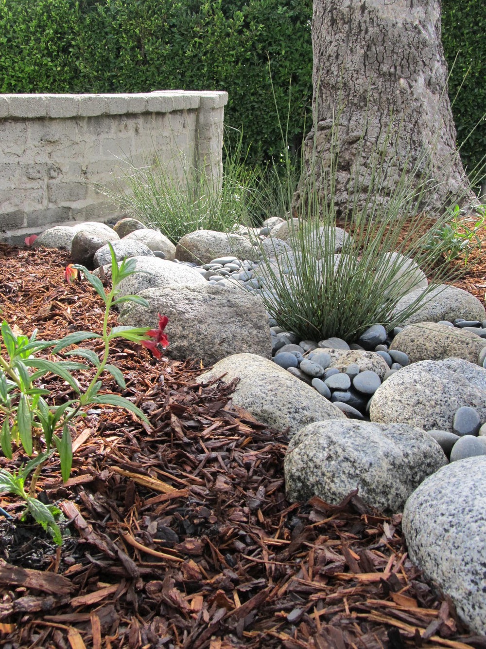 Dry creek beds, outdoor living, xeriscape ideas, popular pin, outdoor DIY, yard and landscape, landscaping hacks.