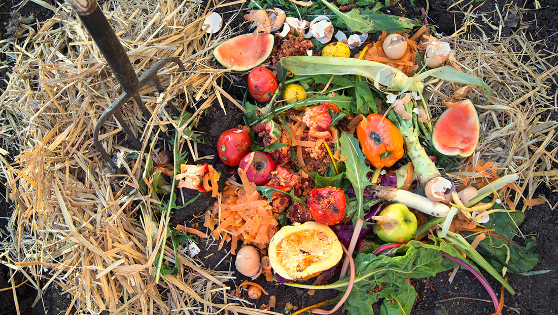 10 Must-Know Composting Tips10