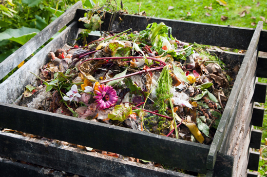 10 Must-Know Composting Tips5