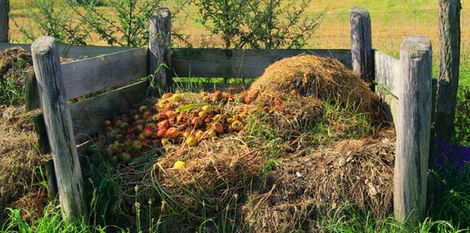 10 Must-Know Composting Tips6