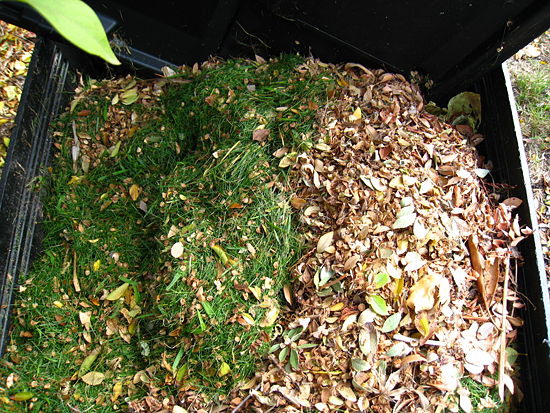 10 Must-Know Composting Tips7