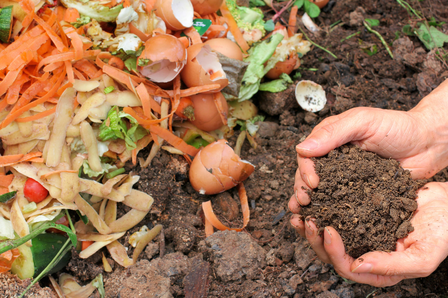 10 Must-Know Composting Tips9