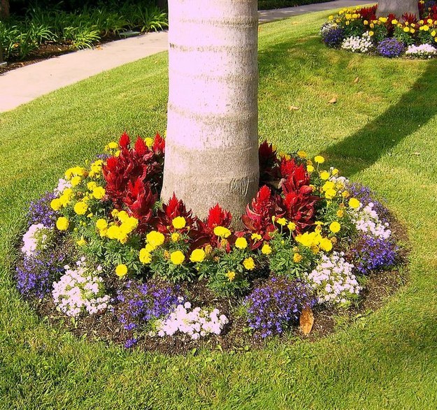 12 Beautiful Flower Beds That Will Inspire11