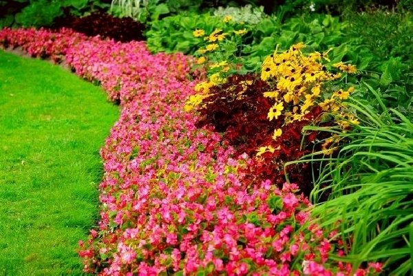 12 Beautiful Flower Beds That Will Inspire12