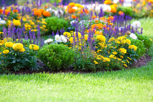 12 Beautiful Flower Beds That Will Inspire2