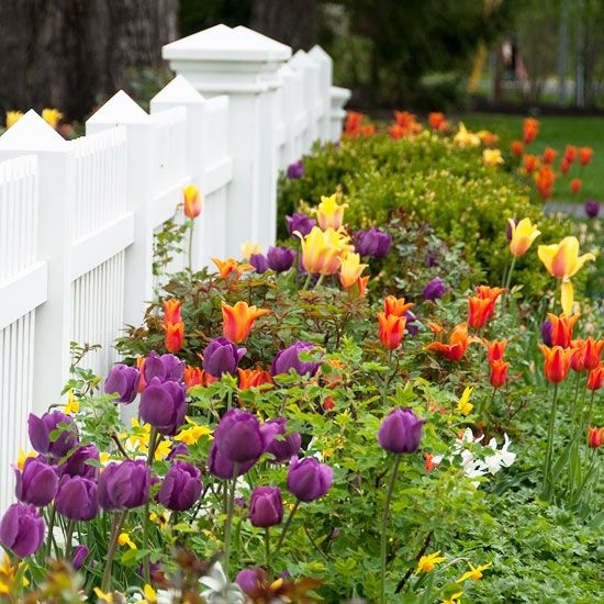 12 Beautiful Flower Beds That Will Inspire6