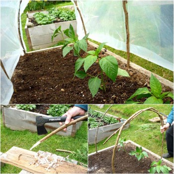 Greenhouses, DIY greenhouse, outdoor living, gardening, gardening hacks, popular pin, easy gardening projects, DIY gardening projects.