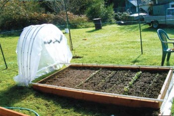 Greenhouses, DIY greenhouse, outdoor living, gardening, gardening hacks, popular pin, easy gardening projects, DIY gardening projects.