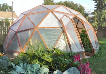 18 DIY Greenhouses14