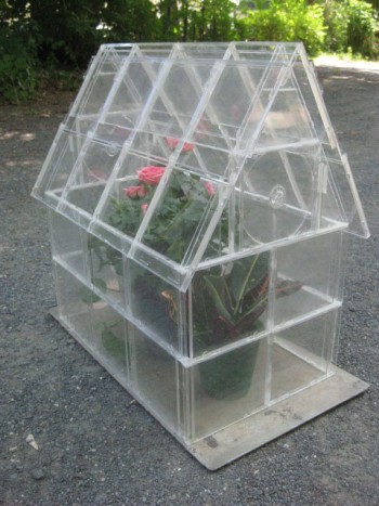 Greenhouses, DIY greenhouse, outdoor living, gardening, gardening hacks, popular pin, easy gardening projects, DIY gardening projects.