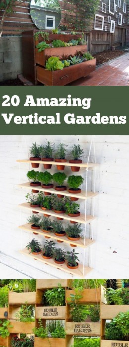 20 Amazing Vertical Gardens ~ Bless My Weeds