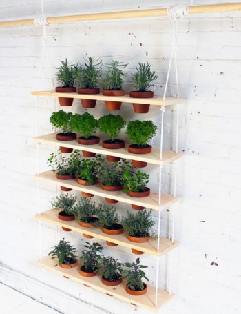 20 Amazing Vertical Gardens10