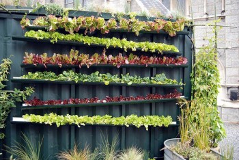 20 Amazing Vertical Gardens19