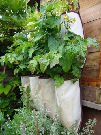 20 Amazing Vertical Gardens3