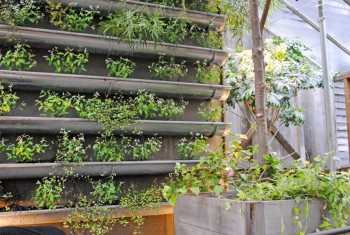 20 Amazing Vertical Gardens5