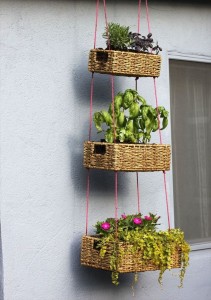 Amazing Vertical Gardens Bless My Weeds