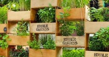 20 Amazing Vertical Gardens8