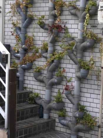 20 Amazing Vertical Gardens9