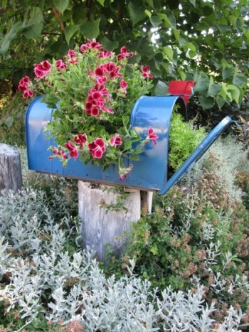 DIY gardening, outdoor living, outdoor gardening hacks, container gardening, DIY container gardening, popular pin, garden, gardening tips and tricks.