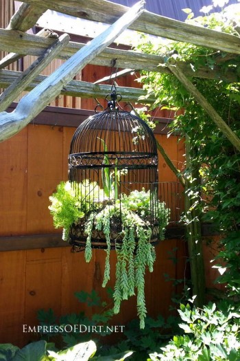 DIY gardening, outdoor living, outdoor gardening hacks, container gardening, DIY container gardening, popular pin, garden, gardening tips and tricks.