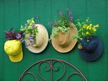 DIY gardening, outdoor living, outdoor gardening hacks, container gardening, DIY container gardening, popular pin, garden, gardening tips and tricks.