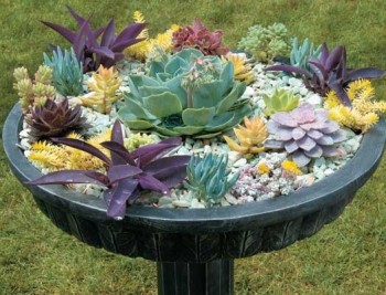 One day gardening, easy gardening DIY, DIY, gardening hacks, popular pin, outdoor projects, gardening tips, gardening DIYs..