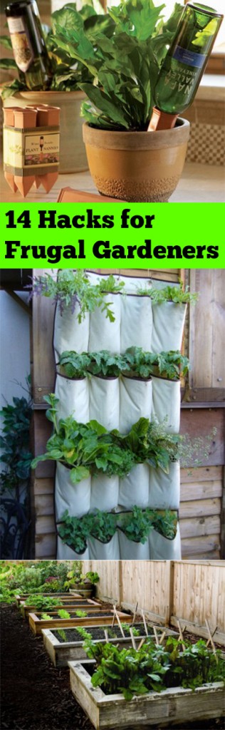 Frugal gardening, frugal gardening hacks, gardening tips, cheap gardening, cheap gardening hacks, popular pin, easy gardening, gardening hacks, DIY garden, outdoor living.