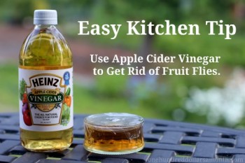 12-unbelievable-ways-to-use-vinegar-in-your-garden12