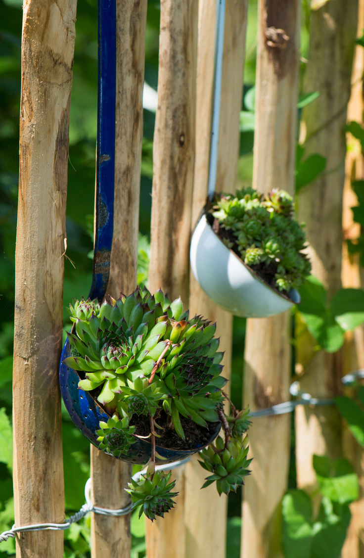 Make vertical gardens that you can hang from your fence. Here are some quick and easy ways to decorate your garden fence. 