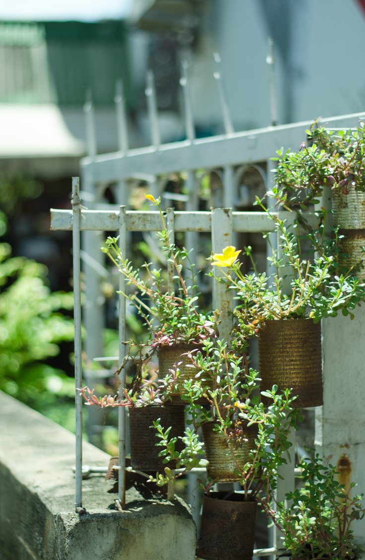 Mount empty tin cans sporadically across your fence. They make awesome planters for a variety of flowers or herbs. Here are some quick and easy ways to decorate your garden fence. 