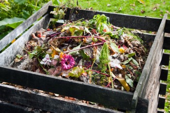 Composting, composting hacks, composting tricks, compost 101, gardening, gardening tricks, gardening 101, homesteading hacks, popular pin