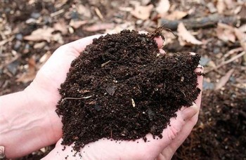 Composting, composting hacks, composting tricks, compost 101, gardening, gardening tricks, gardening 101, homesteading hacks, popular pin