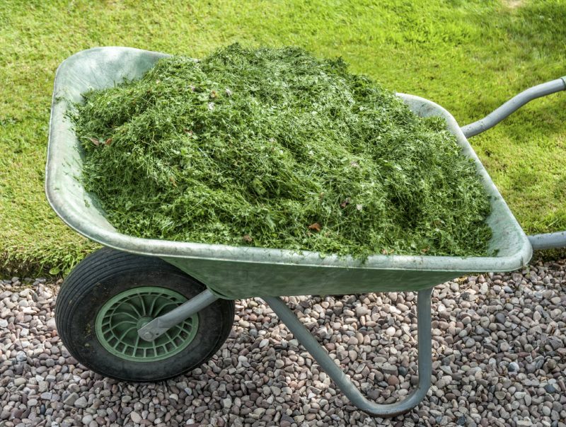 10 Composting Tips for Beginners Bless My Weeds
