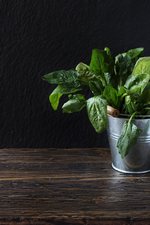 container gardening veggies