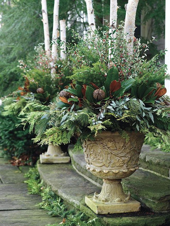 12-festive-container-gardening-ideas