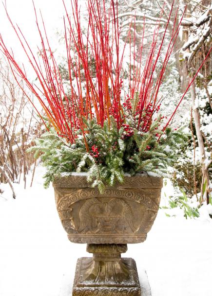 12-festive-container-gardening-ideas2