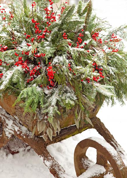 12-festive-container-gardening-ideas3