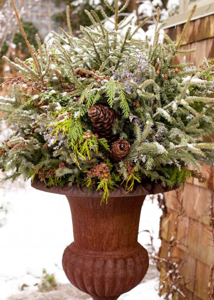 12-festive-container-gardening-ideas5