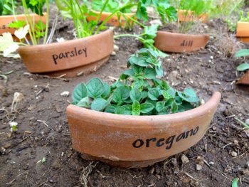 17-totally-free-gardening-tips13