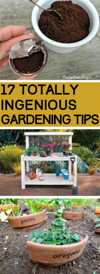 Gardening, Gardening Tips, Gardening Hacks, Easy Gardening TIps, Popular Pin, Vegetable Gardening, Gardening for Beginners, Beginner Gardening Tips, Beginner Gardening Hacks