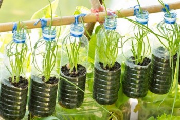 20-crazy-easy-one-day-gardening-diy-projects14