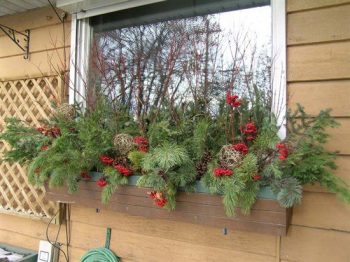 20 Easy Holiday Window Box Ideas ~ Bless My Weeds