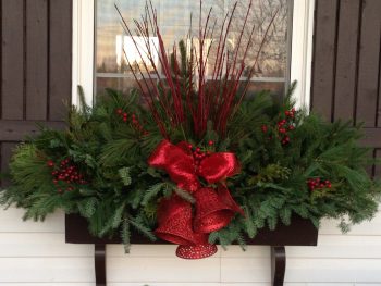 20 Easy Holiday Window Box Ideas ~ Bless My Weeds