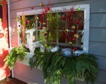 20 Easy Holiday Window Box Ideas ~ Bless My Weeds