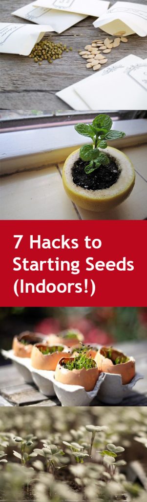 pin-7-hacks-to-starting-seeds-indoors