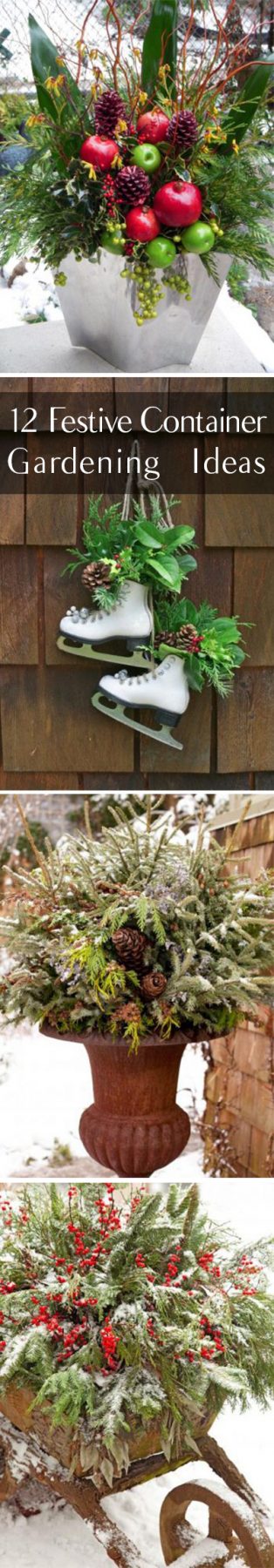 12 Festive Container Gardening Ideas ~ Bless My Weeds
