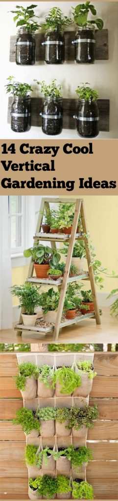 Vertical Gardening, Vertical Gardening Ideas, Easy Vertical Gardening Hacks, Gardening 101, Gardening Tips and Tricks, Gardening Hacks, Popular Pin, Vertical Gardening Tips and Tricks.