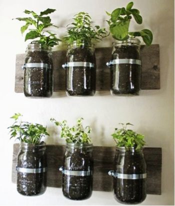 14-crazy-cool-vertical-gardening-ideas14