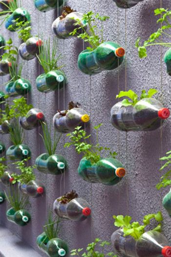 14-crazy-cool-vertical-gardening-ideas3